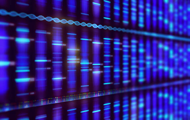 Sanger Sequencing Background Illustration of a method of DNA sequencing. Image with depth of field. dna sequencing gel stock pictures, royalty-free photos & images