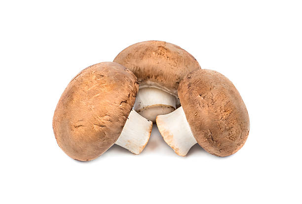 istock Mushrooms royal mushroom 536845834