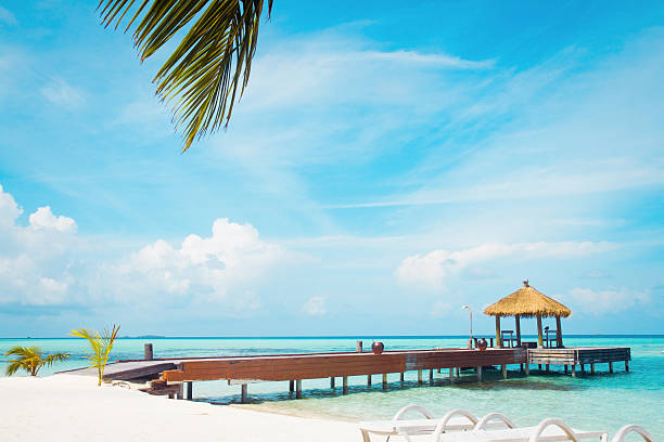 istock Beautiful beach landscape in the Maldives 536846496