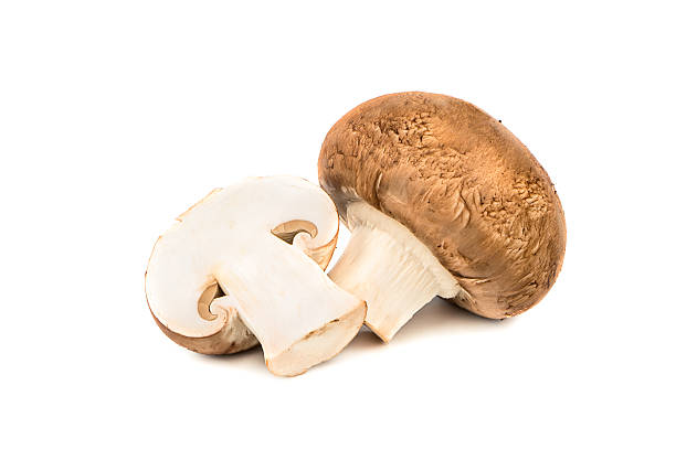 istock Mushrooms royal mushroom 536846628