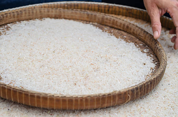 What Is Winnowing Rice Winnowing Rice Stock Photos, Pictures & Royalty-Free Images - iStock