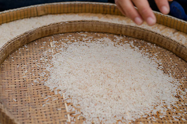 What Is Winnowing Rice 280+ Winnowing Rice Stock Photos, Pictures & Royalty-Free Images - iStock