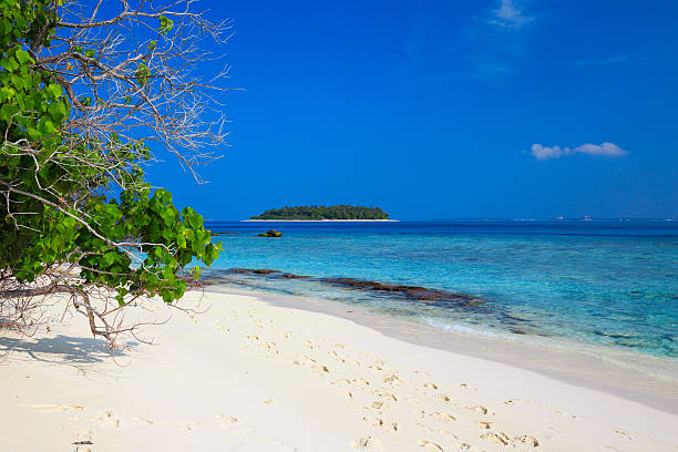 istock Tropical island with sandy and turquoise clear water 536847578