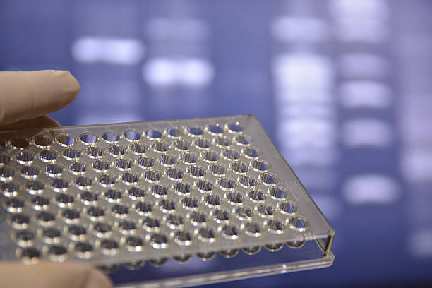 istock In the laboratory of medical genetics. 536847794