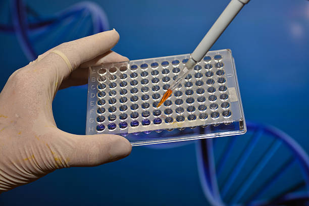 istock In the laboratory of medical genetics. 536847954