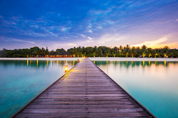 Resort bridge. Beautiful landscape with palms and blue lagoon stock photo