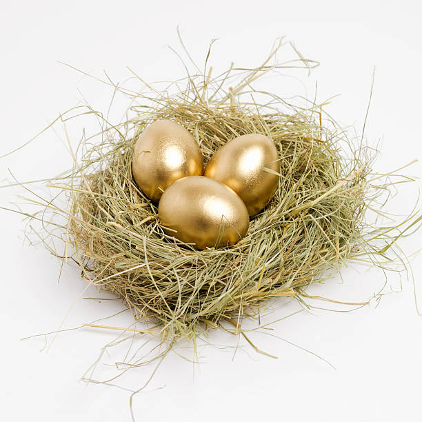 istock Make sure to save today for a golden nest egg 536852929