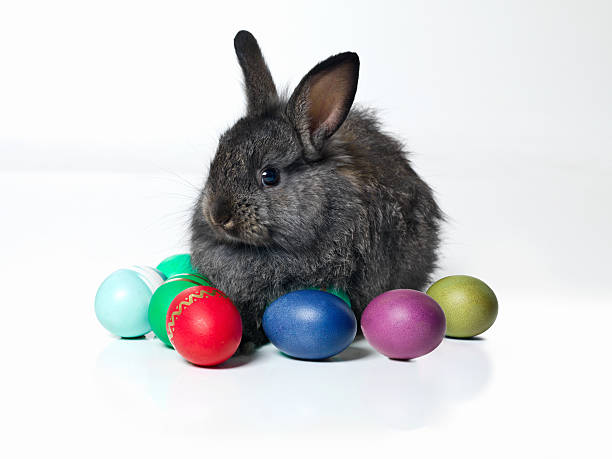 istock The red one is my favorite 536853001