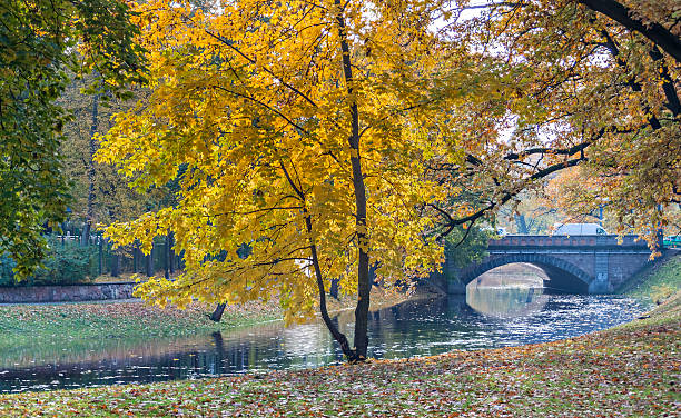 istock Autumn in central park in Riga , Latvia 536854382