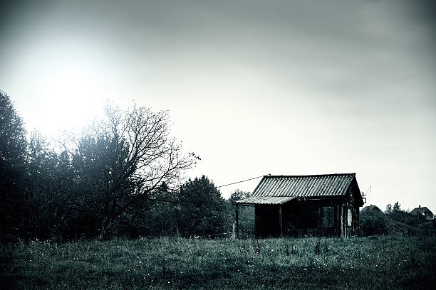 abbandonato cabina - shack hut old obsolete foto e immagini stock