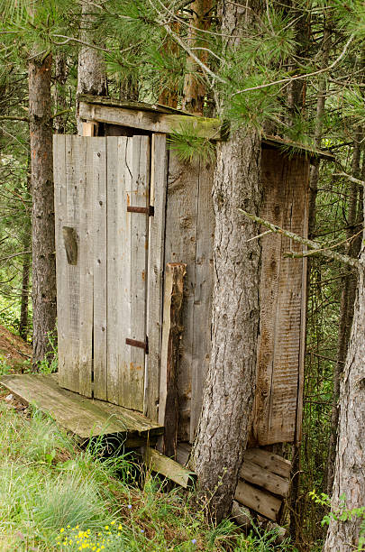 istock Toilet in nature 536870244