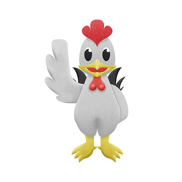 istock chicken white cartoon is cute illustration 536871797