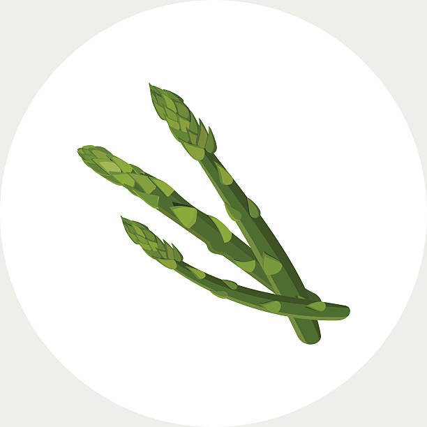 ilustrações, clipart, desenhos animados e ícones de aspargos verdes - asparagus