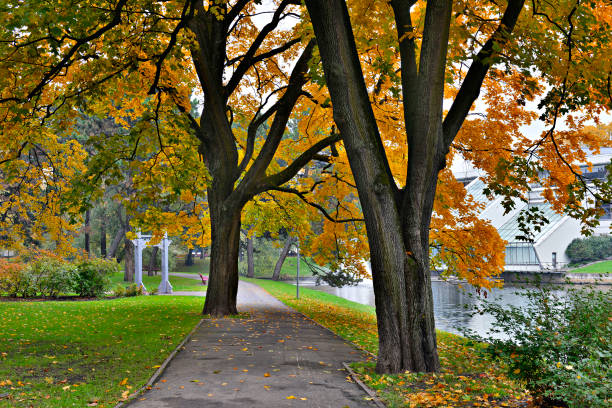 istock Central public park in Riga, Latvia 536874996
