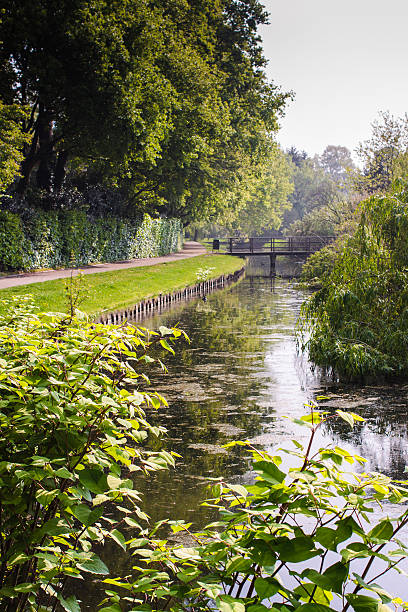 istock Park In Holland 1 536875499