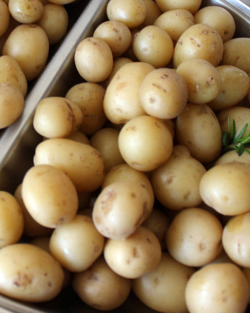 istock Freshly cooked new potatoes on silver platter, party food buffet 536876613