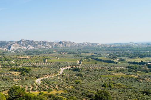 Les Baux-de-Provence, aerial view. Vineyards, olive groves, Les Alpilles (mountain range).