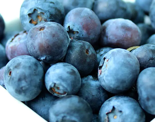 Photo of Image of a pile of organic fresh blueberries, healthy breakfast