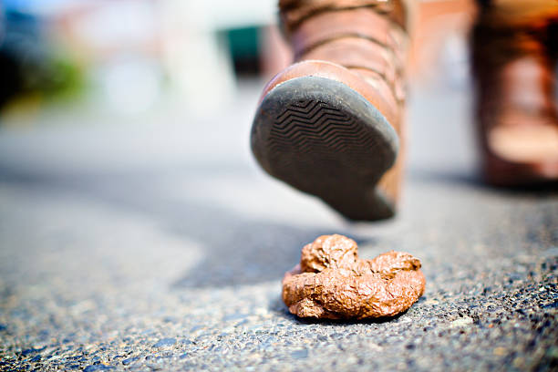 booted fuß über den schritt in unordentliche hund poo - sidewalk walking human foot city stock-fotos und bilder