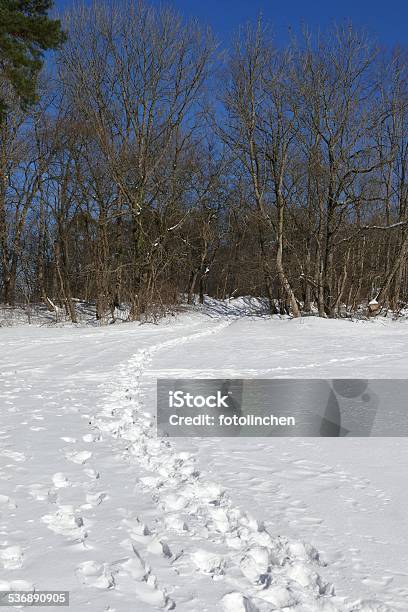 Fußabdrücke Im Schnee Stockfoto und mehr Bilder von 2015 - 2015, Baum, Extremlandschaft