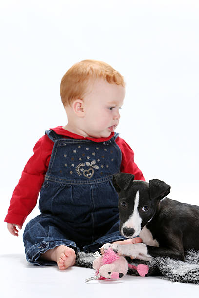 istock Baby and puppy 536892205