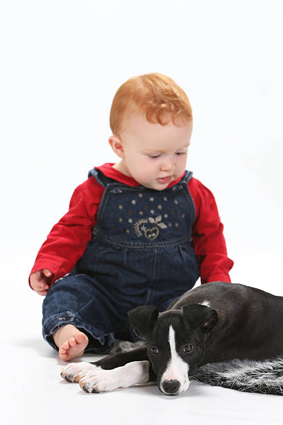 istock Baby and puppy 536892211