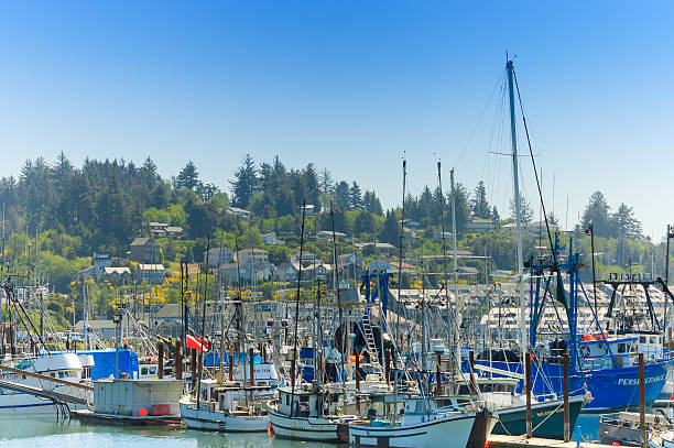 barcos de pescadores - newport oregon imagens e fotografias de stock