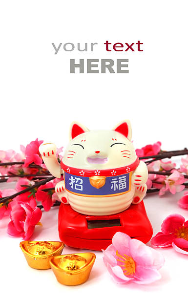 istock Chinese oriental lucky cat figure 536895073