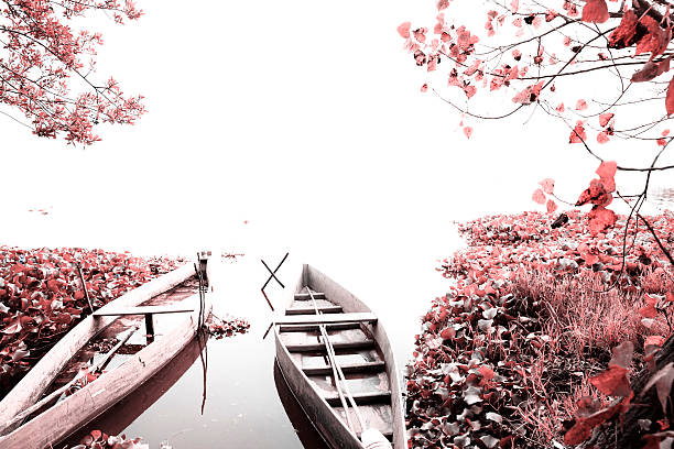 Park of Ois da Ribeira