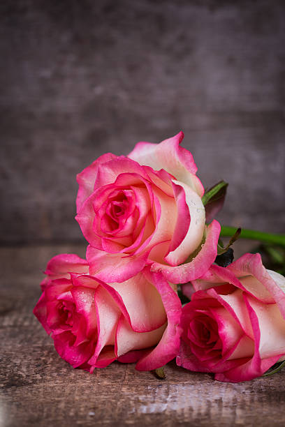 istock Postcard with elegant  flowers and empty place for your text 536917411