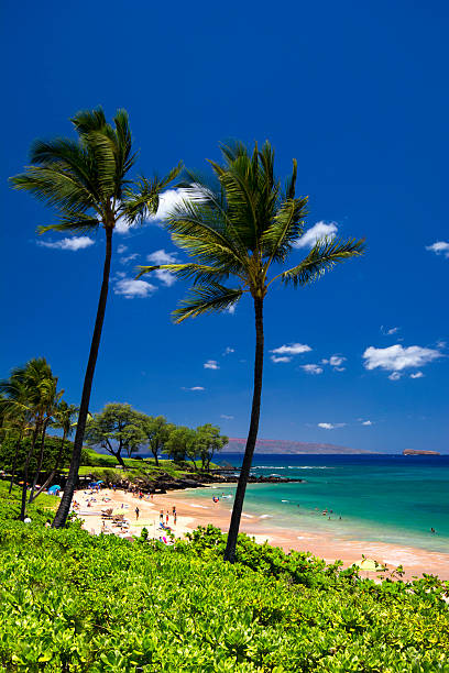 Beach vacation couple tanning under the tropical sun enjoying summer holidays traveling around the world. Young people lying down in paradise. Vertical background with copy space on sky.