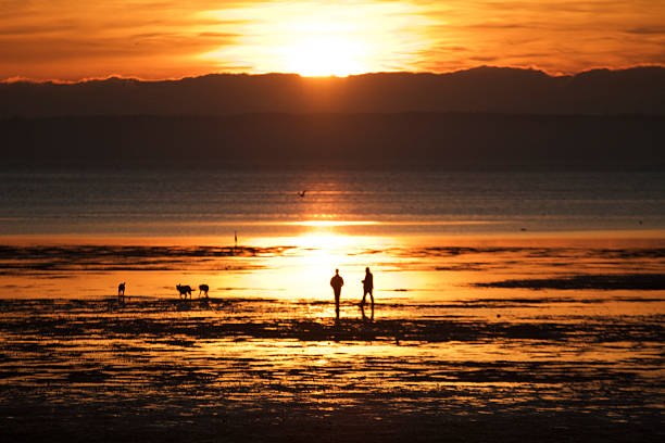 St. Catharines, Ontario, Canada.