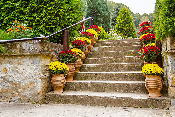 Potted flowers on a staircase in full bloom leading to a garden or patio