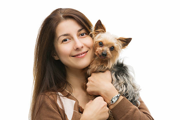 istock Happy dog and owner 536919771
