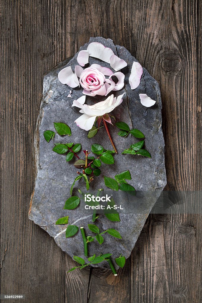 Chopped pink rose Chopped pink rose on black stone 2015 Stock Photo