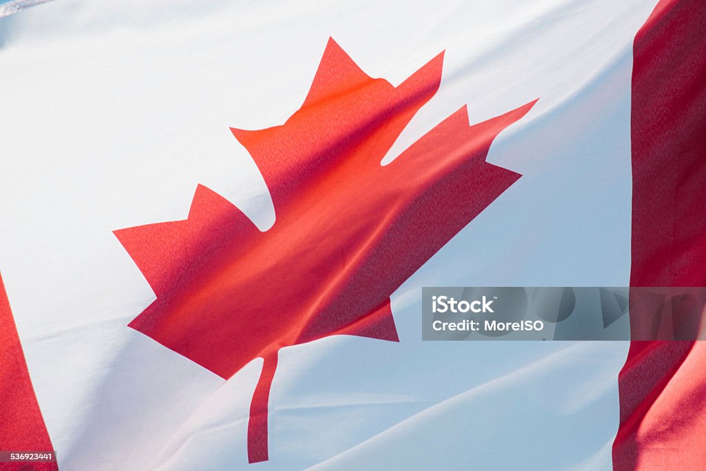 Canadian Flag Flag of Canada. 2015 Stock Photo