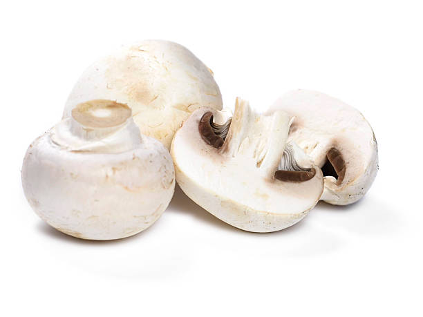 istock White mushrooms XXXL 536923739