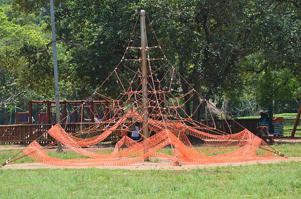 Jungle gym, Ibirapuera Park and the City of São Paulo