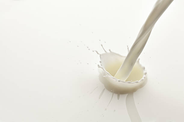 istock Splash of milk photo. 536924781