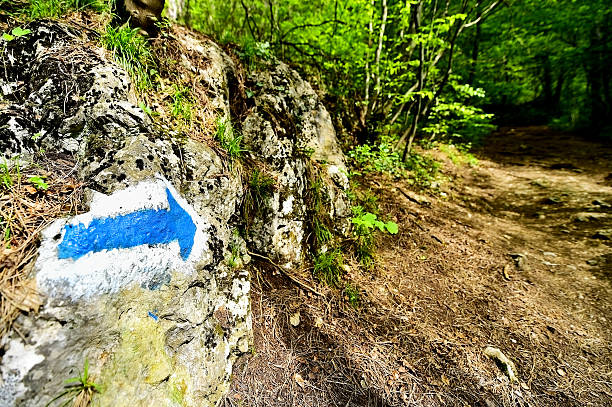 istock Hiking paint marking on a trail 536933698