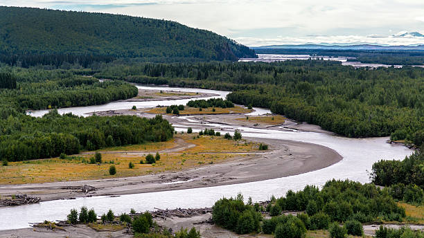 istock Tanana river snaking through forest near Fairbanks 536937256