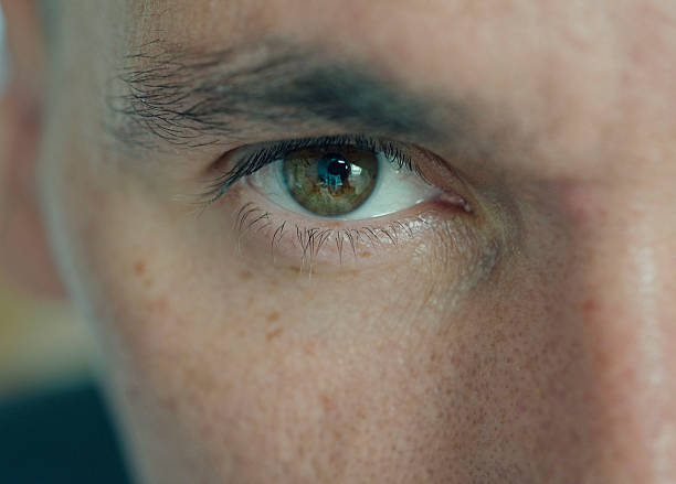 istock In the eye of beholder 536950475