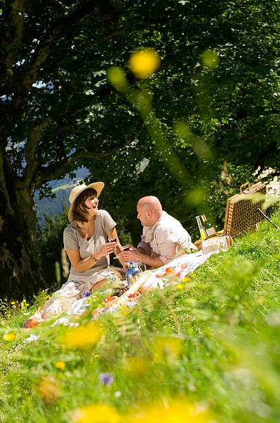 istock Couple having picnic in meadow 536950707