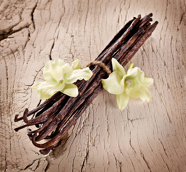 istock Bunch of vanilla sticks and flowers. 536954489