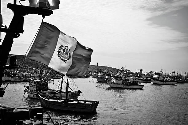 ships and the flag