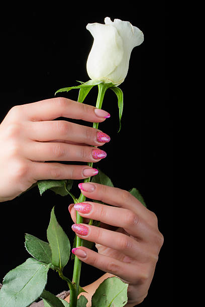 istock manicure and nail art 536954635
