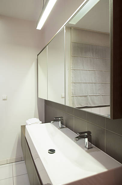 istock Double porcelain sink in bathroom 536956985