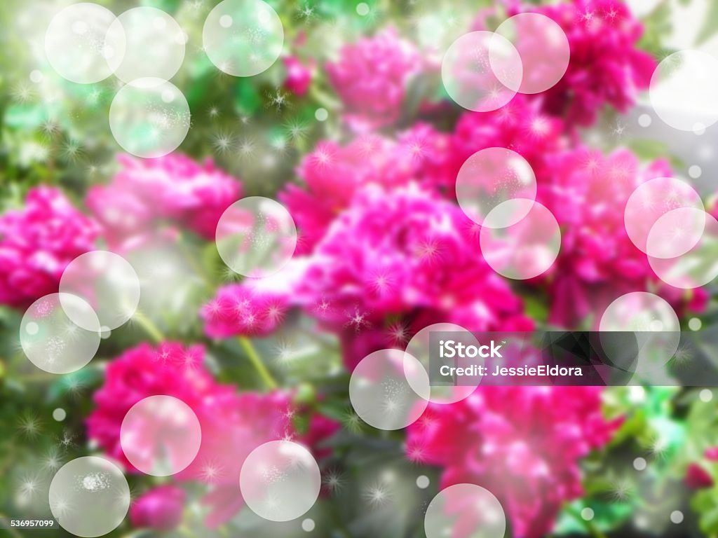 Mystical garden bokeh Imaginations of fantasy in pastel flower bokeh background. 2015 Stock Photo