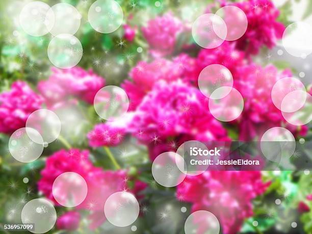 Mystical Garden Bokeh Stock Photo - Download Image Now - 2015, Abstract, Backgrounds