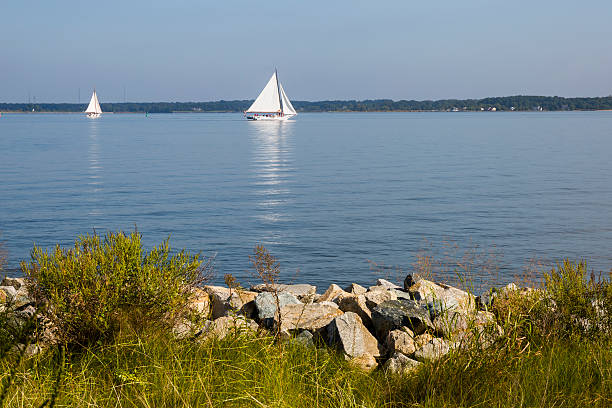Peaceful Morning, Two Skipjack Sailing Ships A peaceful morning view of two skipjack sailing vessels.  Skipjacks were originally used as an oyster dredge boat and are still used today for that purpose. skipjack stock pictures, royalty-free photos & images